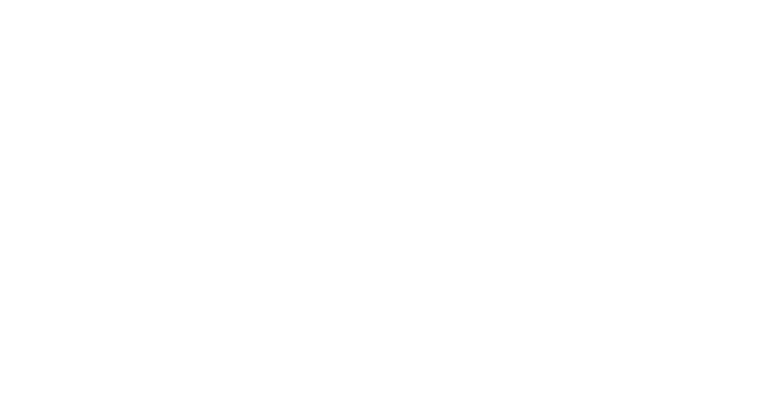 Diamond Networx Logo